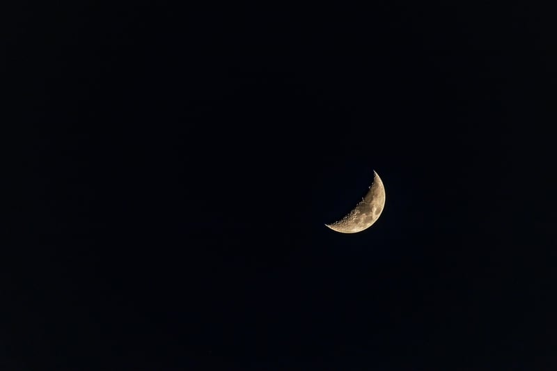 Wow! Signal